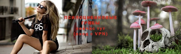 первитин Богородицк