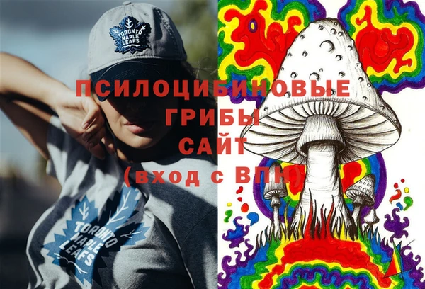прущий лед Богородск